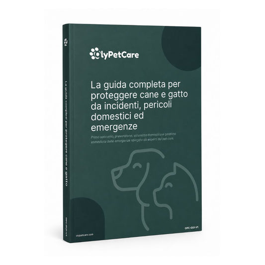 Guida Primo Soccorso Cane e Gatto: Gestione Emergenze e Prevenzione